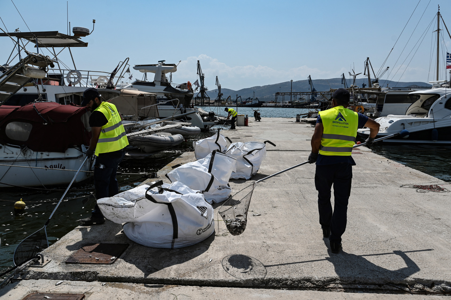 Trabalhadores retiram peixes mortos da água - Sakis Mitrolidis/AFP