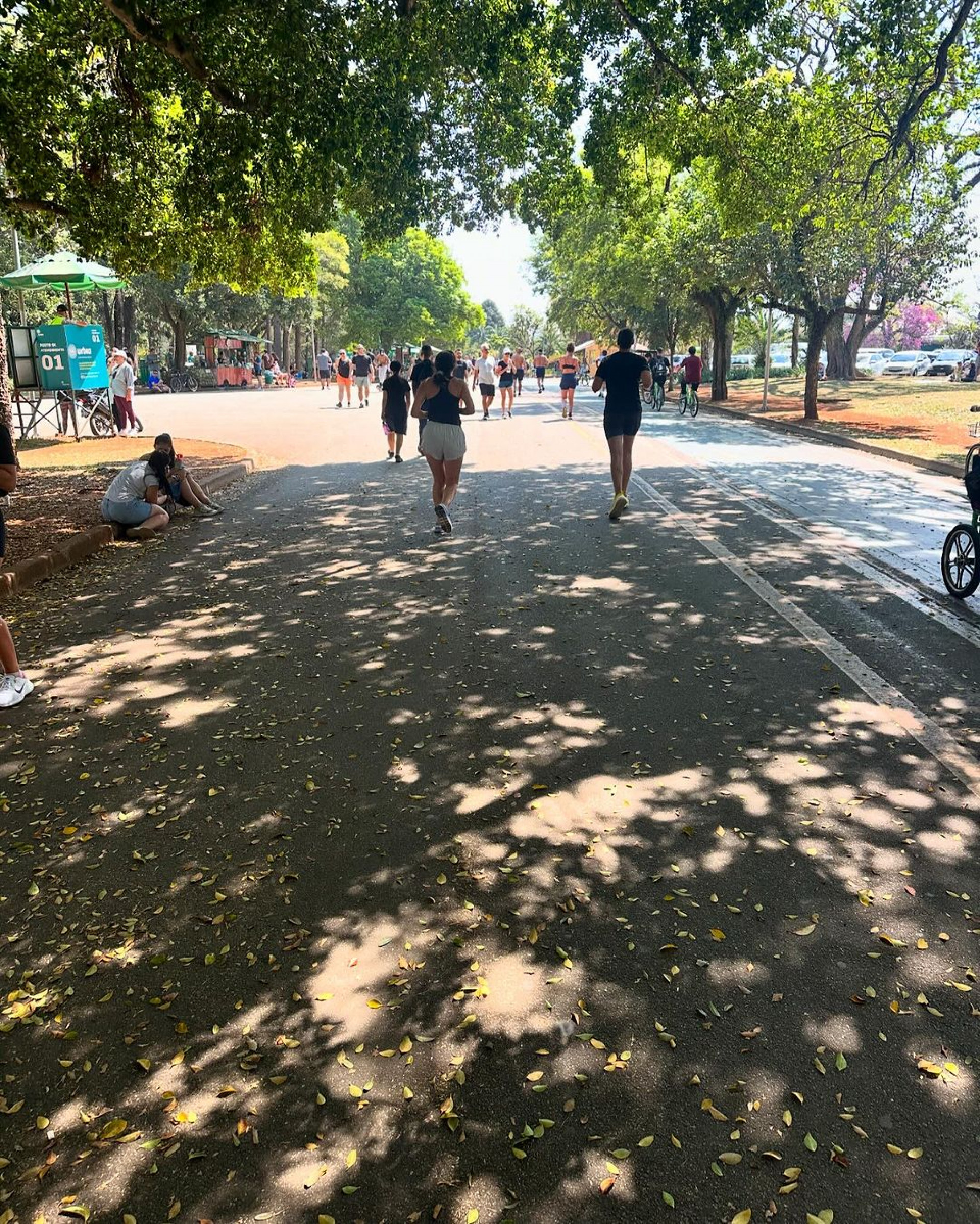 Apresentadora aproveitou o dia ensolarado para fazer uma caminhada no parque - Reprodução / Instagram