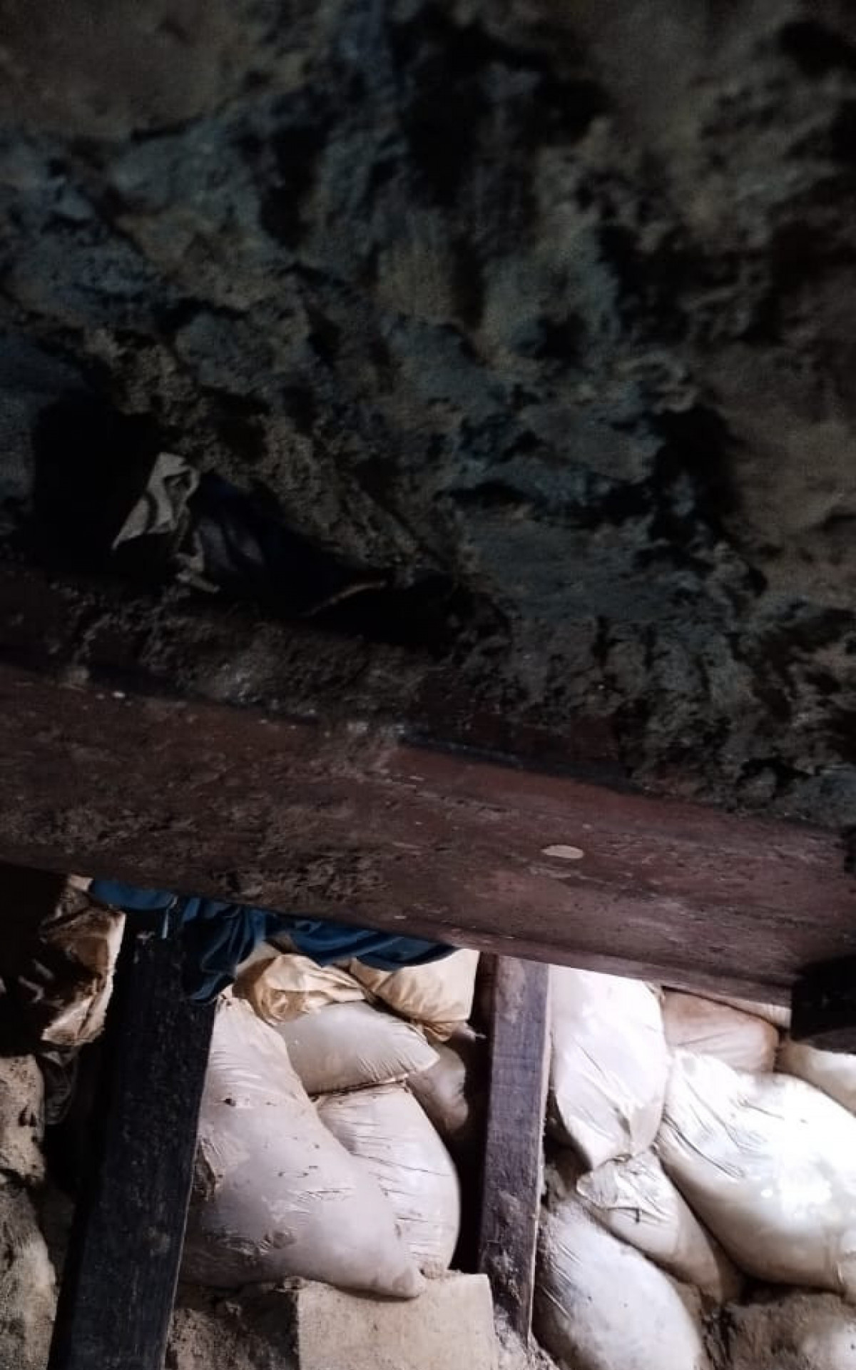 Escavação foi realizada na horta do Instituto Penal Vicente Piragibe, em Bangu