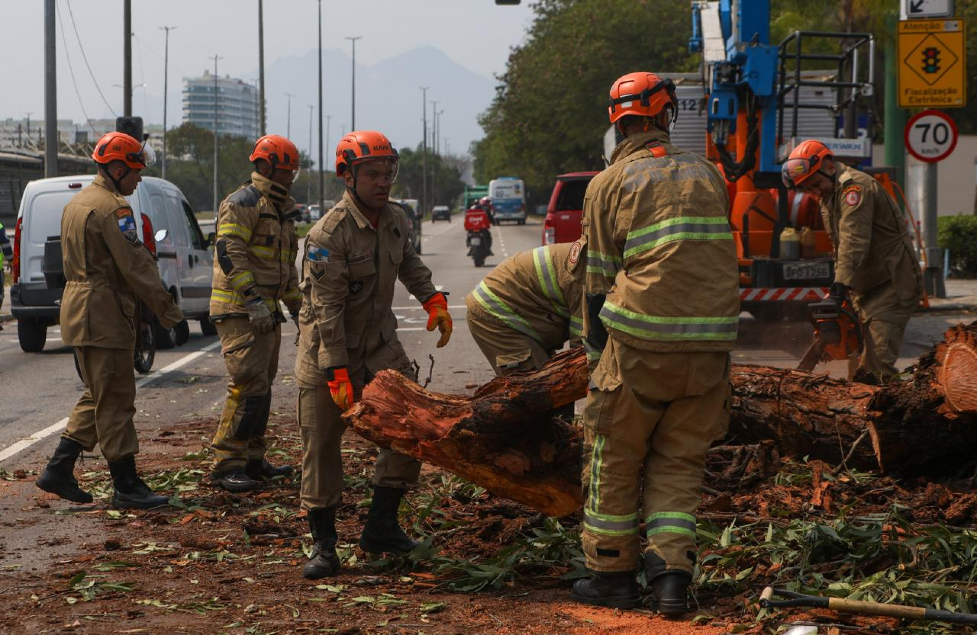 Árvore cai e atinge veículos na Avenida das Américas - Renan Areias/Agência O DIA