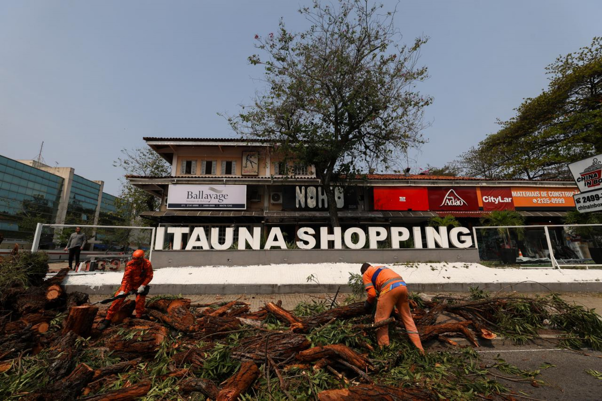 Árvore cai e atinge veículos na Avenida das Américas - Renan Areias/Agência O DIA