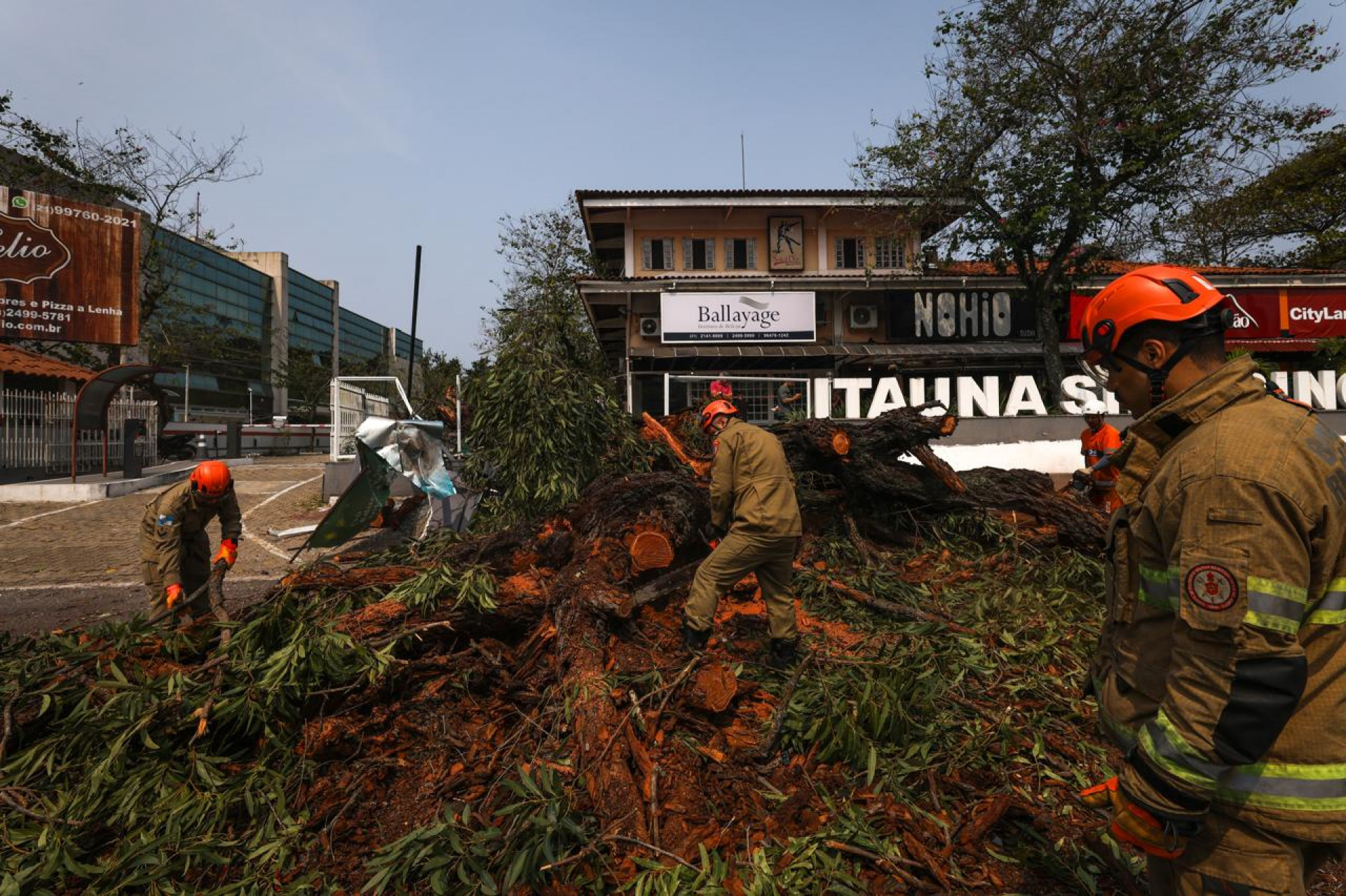 Árvore cai e atinge veículos na Avenida das Américas - Renan Areias/Agência O DIA