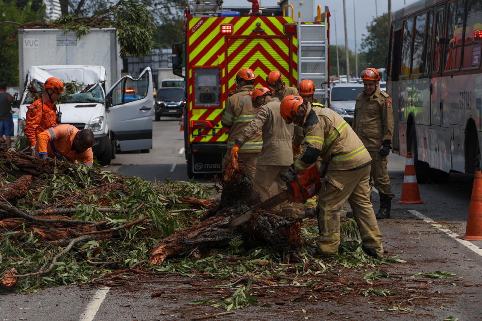 Árvore cai e atinge veículos na Avenida das Américas - Renan Areias/Agência O DIA
