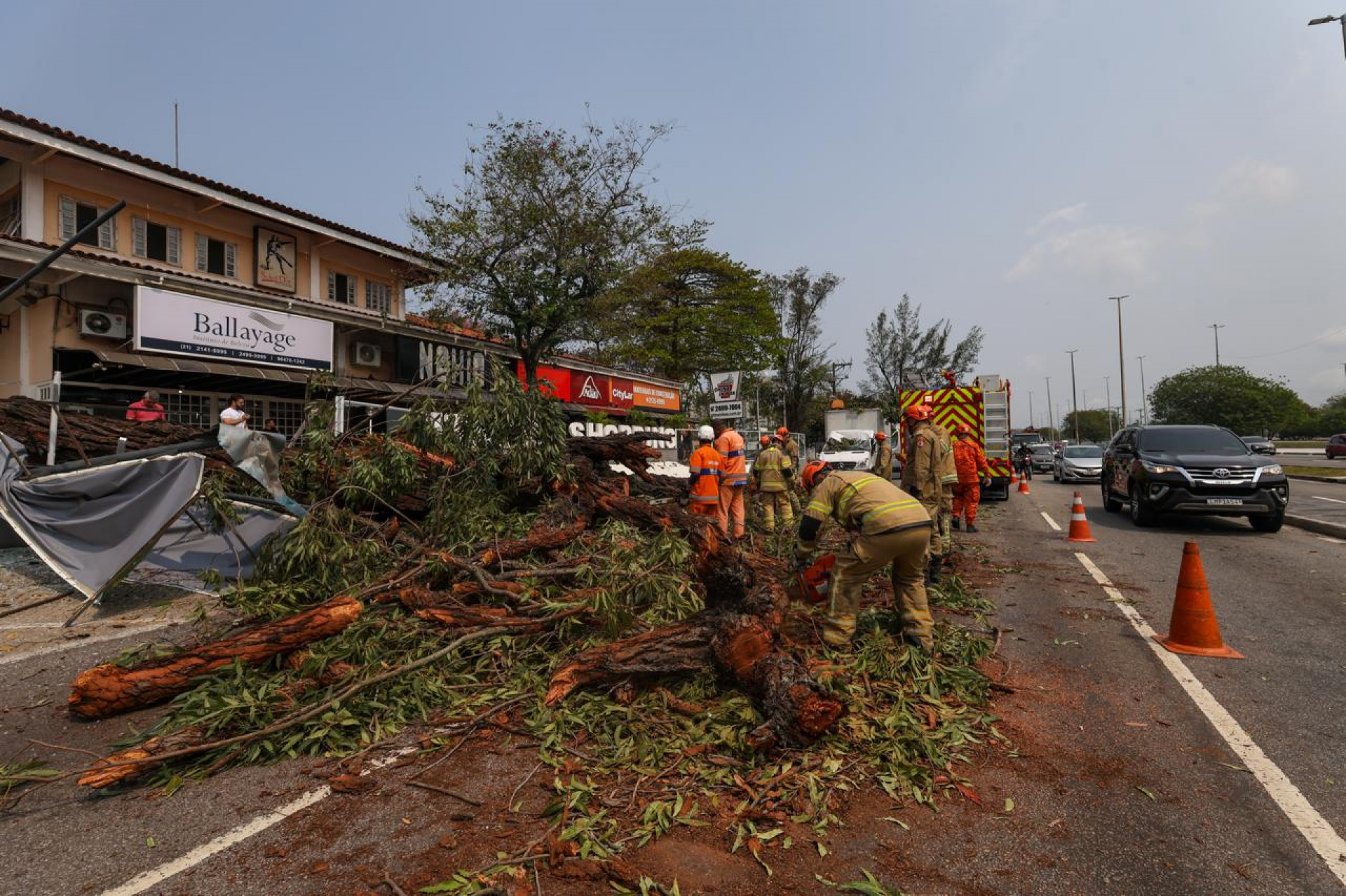 Árvore cai e atinge veículos na Avenida das Américas - Renan Areias/Agência O DIA