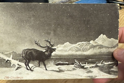 Bizarro! Correios demoram 121 anos para entregar cartão postal