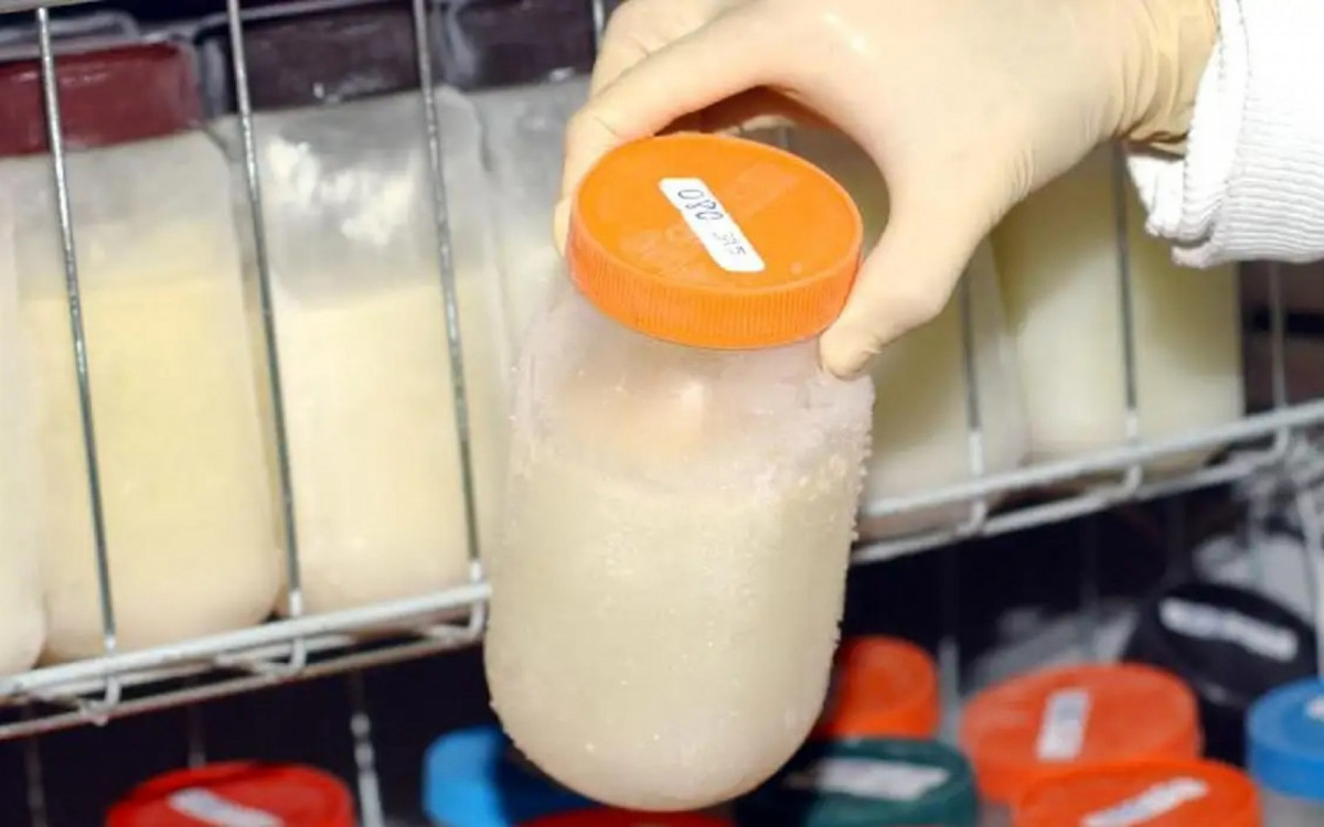 Locais terão que ter condições adequadas para armazenamento