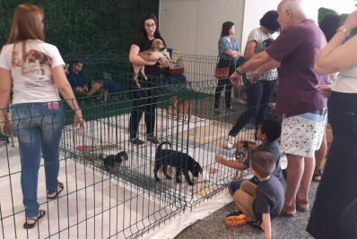 Duas ações solidárias realizadas no mês de setembro