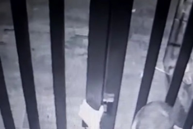 Prédio em Vila Isabel é alvo do mesmo criminoso quatro vezes: 'Perdemos a paz'