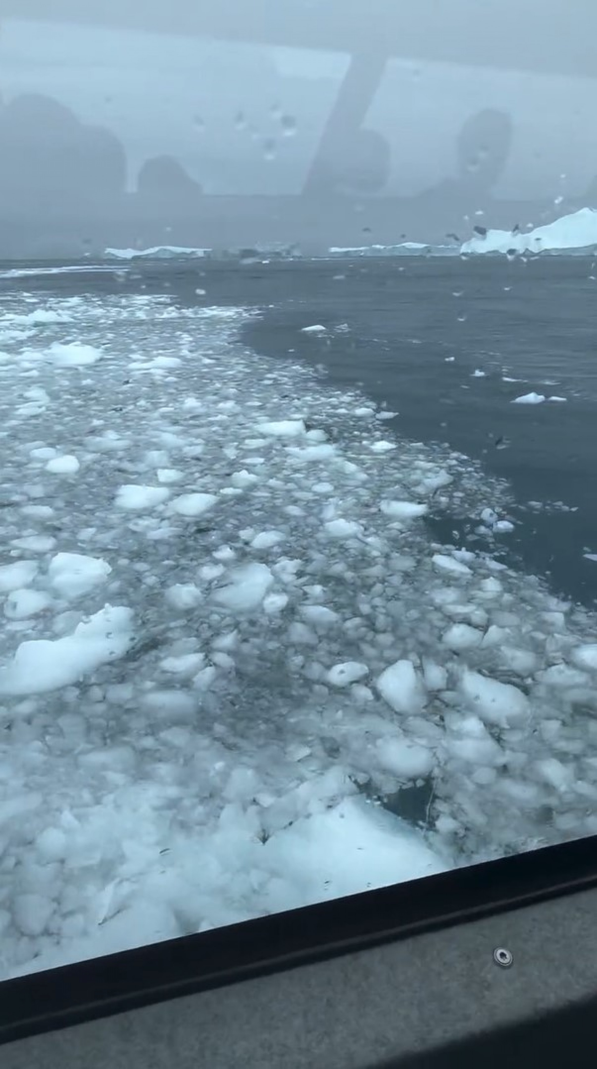 De férias na Groenlândia, Galvão Bueno e Desireé Soares passeiam pelo Círculo Polar Ártico - Reprodução / Instagram