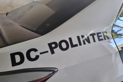 Polícia Civil prende dois homens e uma mulher por golpe e associação criminosa