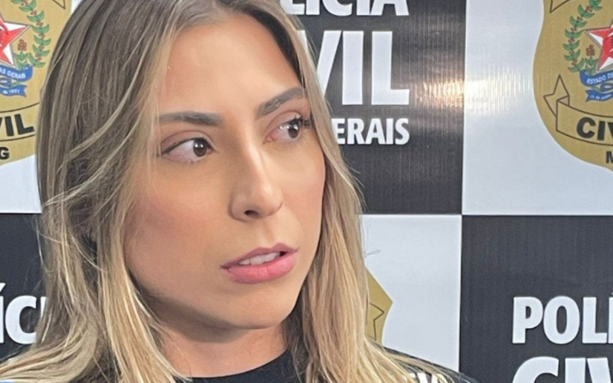 Delegada Natália Caliman informou detalhes sobre o caso