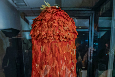 Veja fotos do histórico Manto Tupinambá que ficará exposto no Museu Nacional