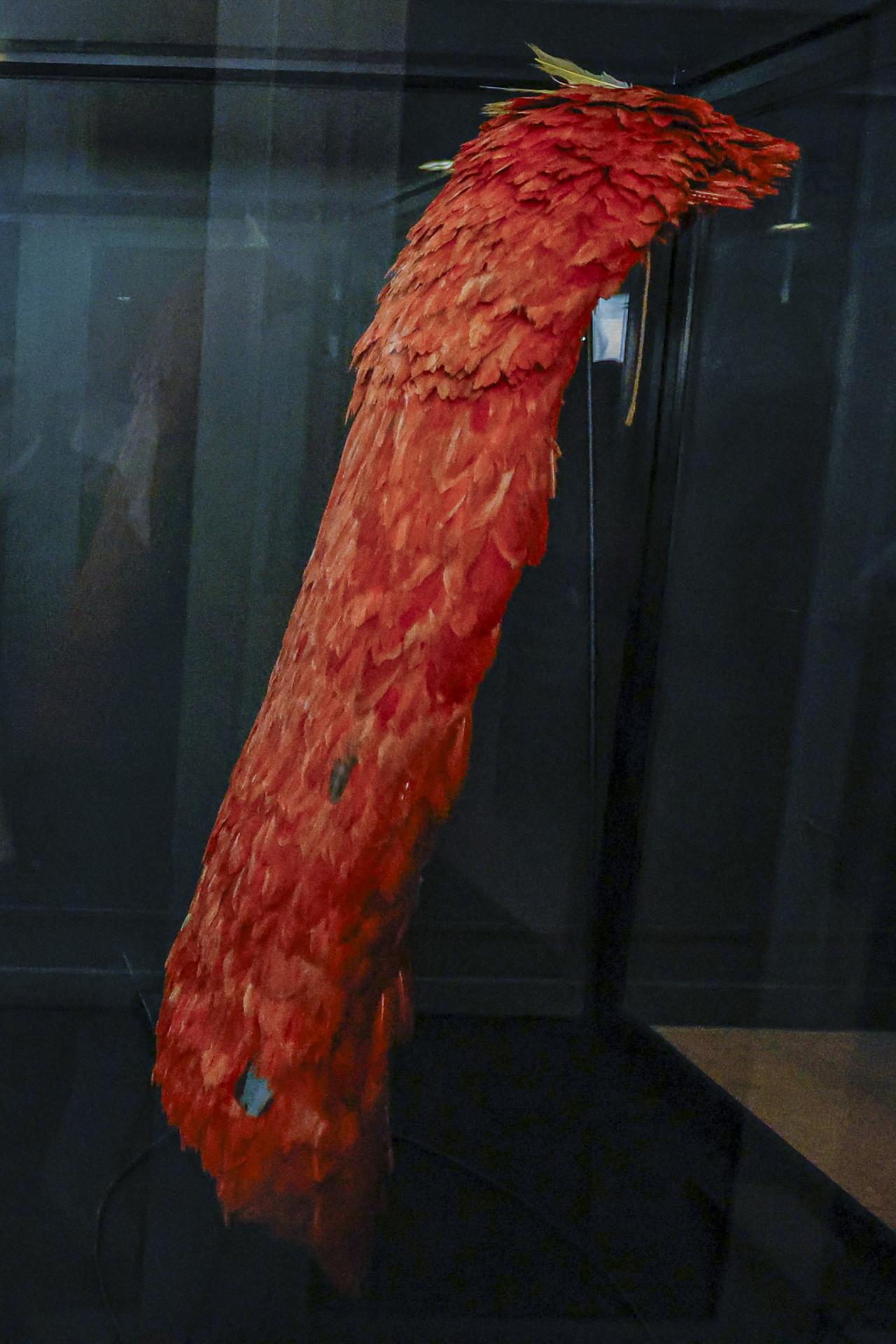 Manto Tupinambá tem quase 400 anos e estava fora do país desde o meio do século XVII - Ricardo Stuckert/Presidência da República