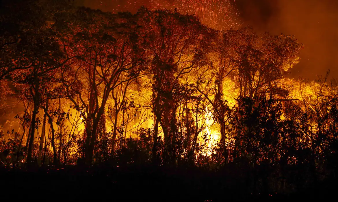 Defensoria Pública pede combate a incêndios em terras indígenas do MT 