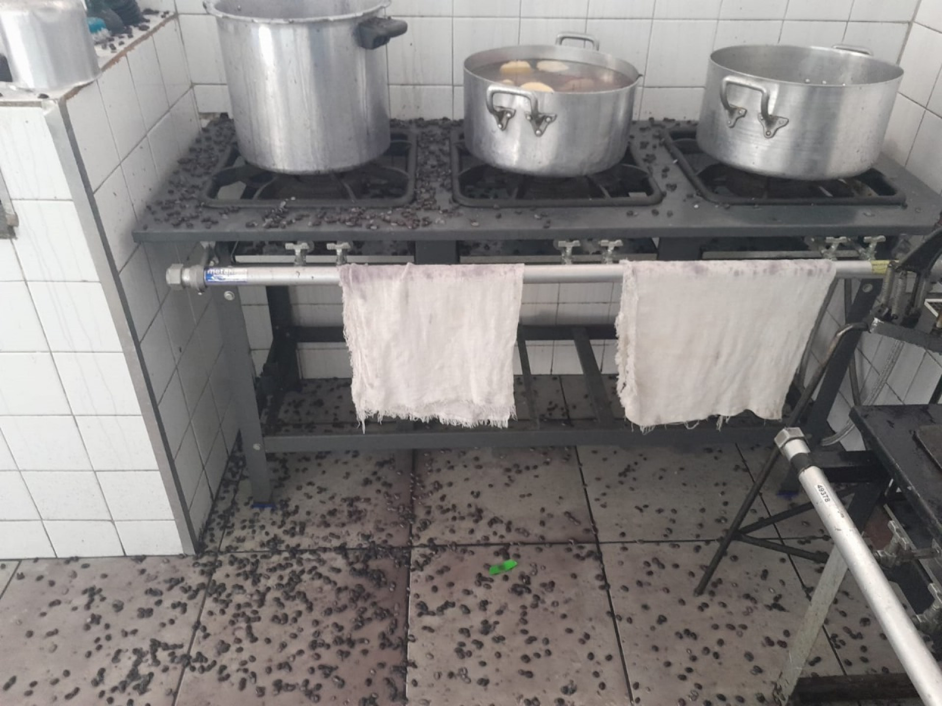 No momento em que explodiu, a panela cozinhava feijão - Divulgação