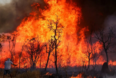 Estudo mostra que mais de 11 milhões de pessoas foram diretamente afetadas por incêndios
