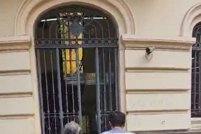 Idoso é preso por violência sexual contra cadela que estava sob sua guarda