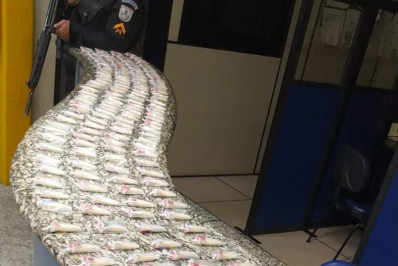 Polícia apreende quase 400 pinos de cocaína em Quatis