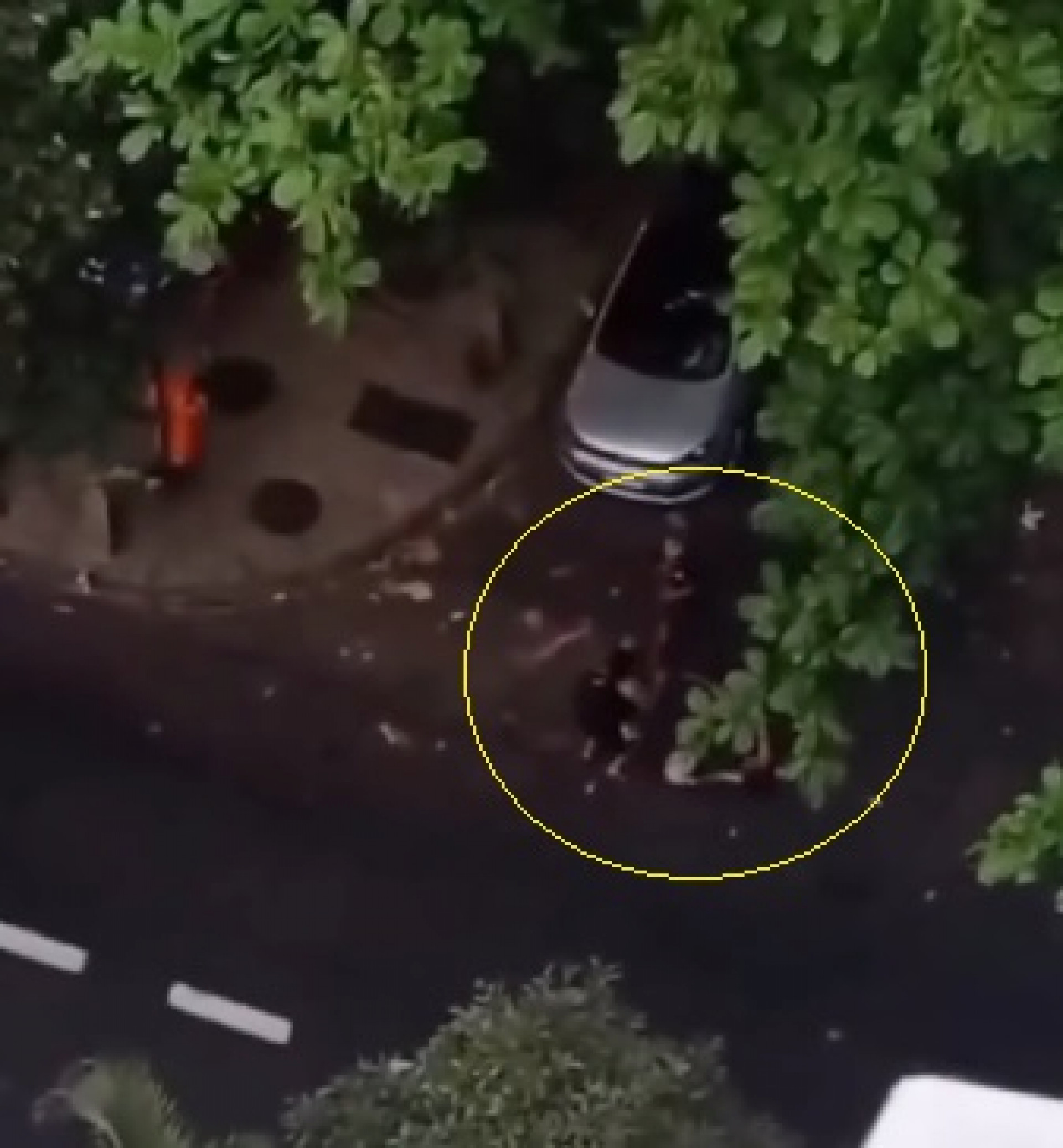 Mulher foi agredida após sofrer tentativa de assalto