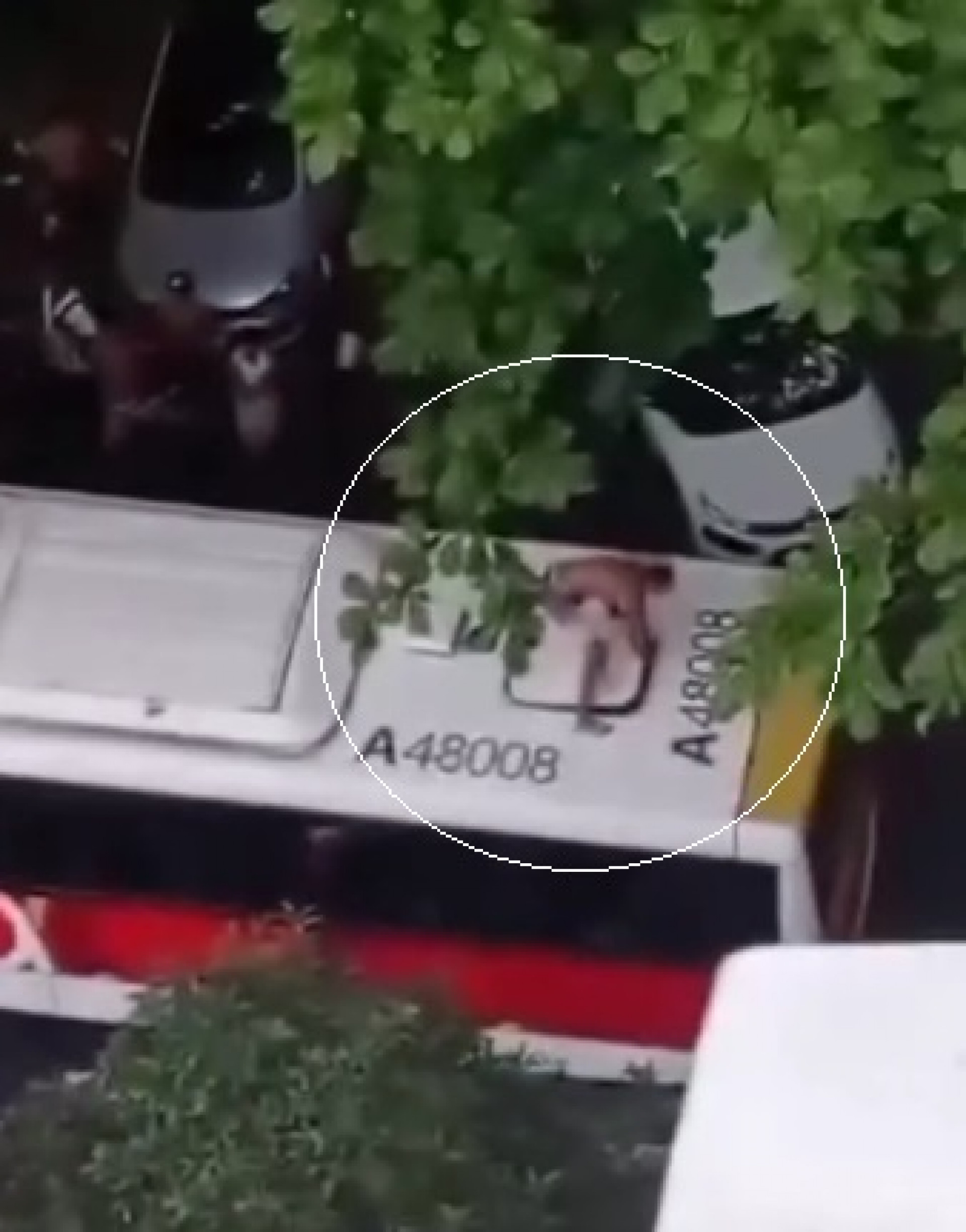 Suspeito tentou arrancar placa de teto de ônibus