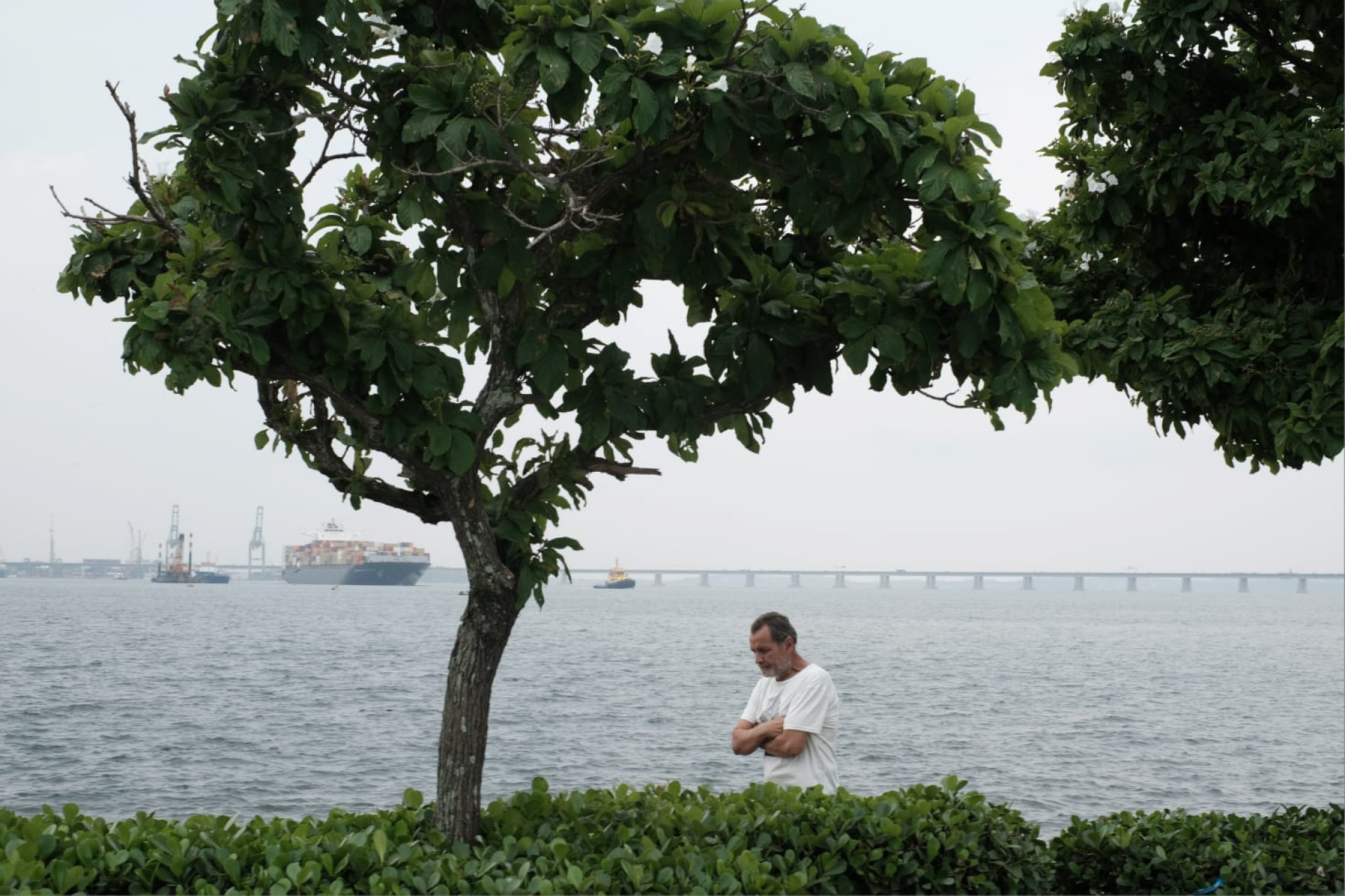 Céu encoberto e muito vento na Praça Mauá, em frente ao Museu do Amanhã, na Zona Portuária do Rio - Pedro Teixeira/ Agência O Dia