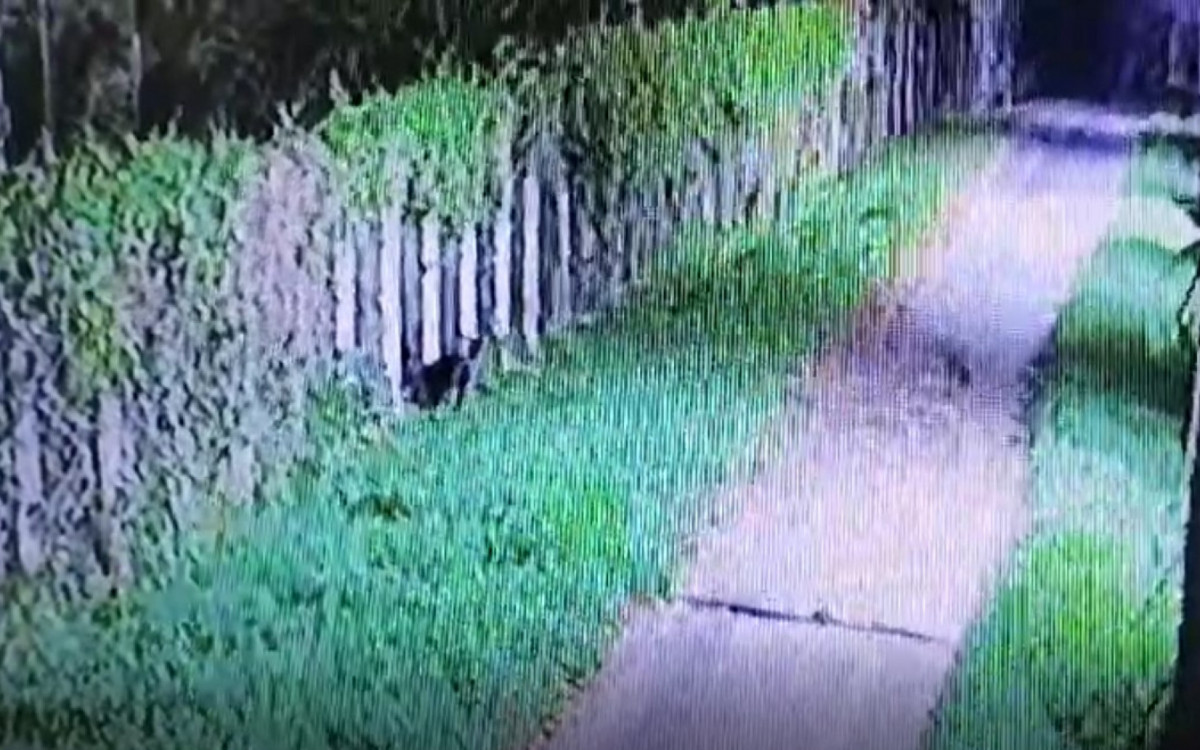 Ação dos bandidos na Penitenciária Jonas Lopes de Carvalho aconteceu na madrugada desta terça-feira (17)