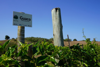 Profissionais da saúde pública de Maricá receberão capacitação em plantas medicinais e fitoterápicos