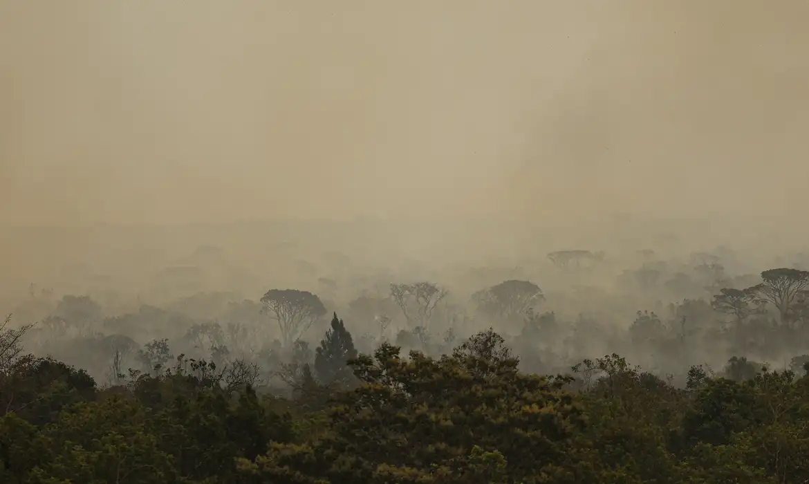 Parque de Brasília: fogo vira subterrâneo mas pode voltar à superfície