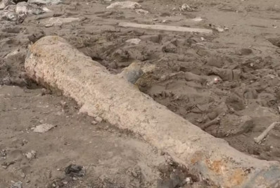 Canhões portugueses são revelados em meio à seca histórica na Amazônia