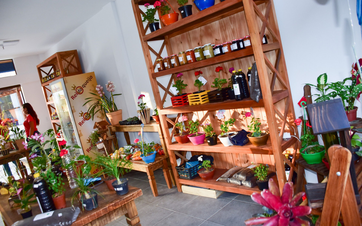 Todos os espaços do Casario do Alferes têm entrada gratuita