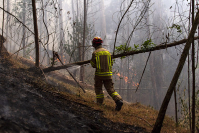 Colômbia tem sete estados com focos de incêndios ativos