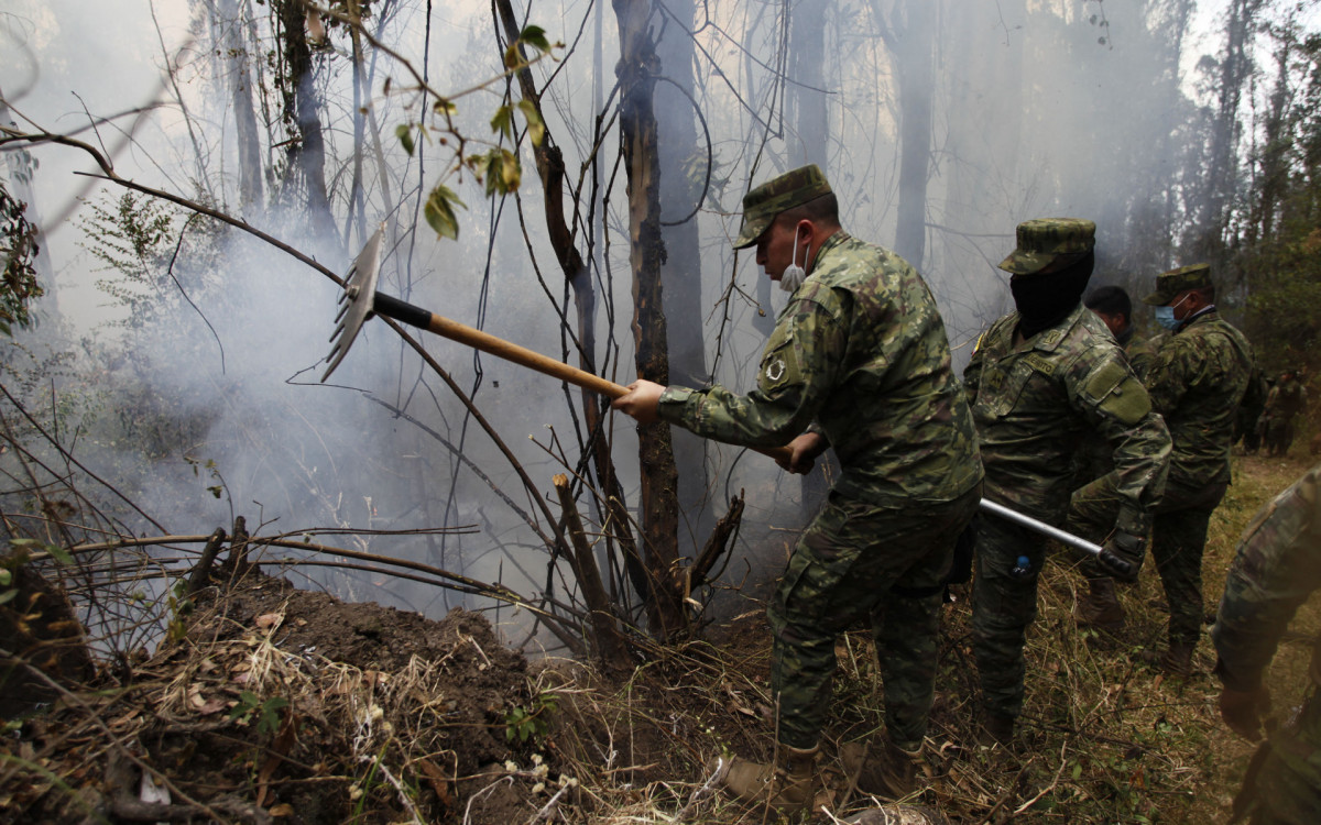 Quito enfrenta incêndios florestais que deixam seis feridos