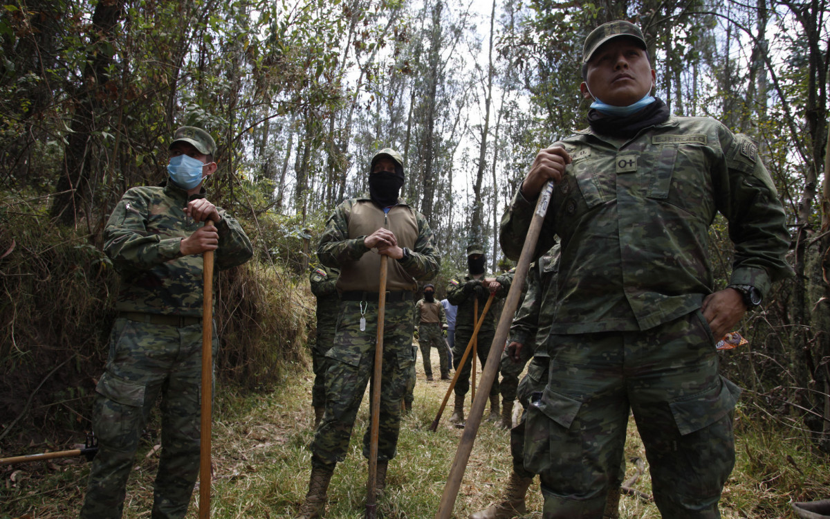 Quito enfrenta incêndios florestais que deixam seis feridos