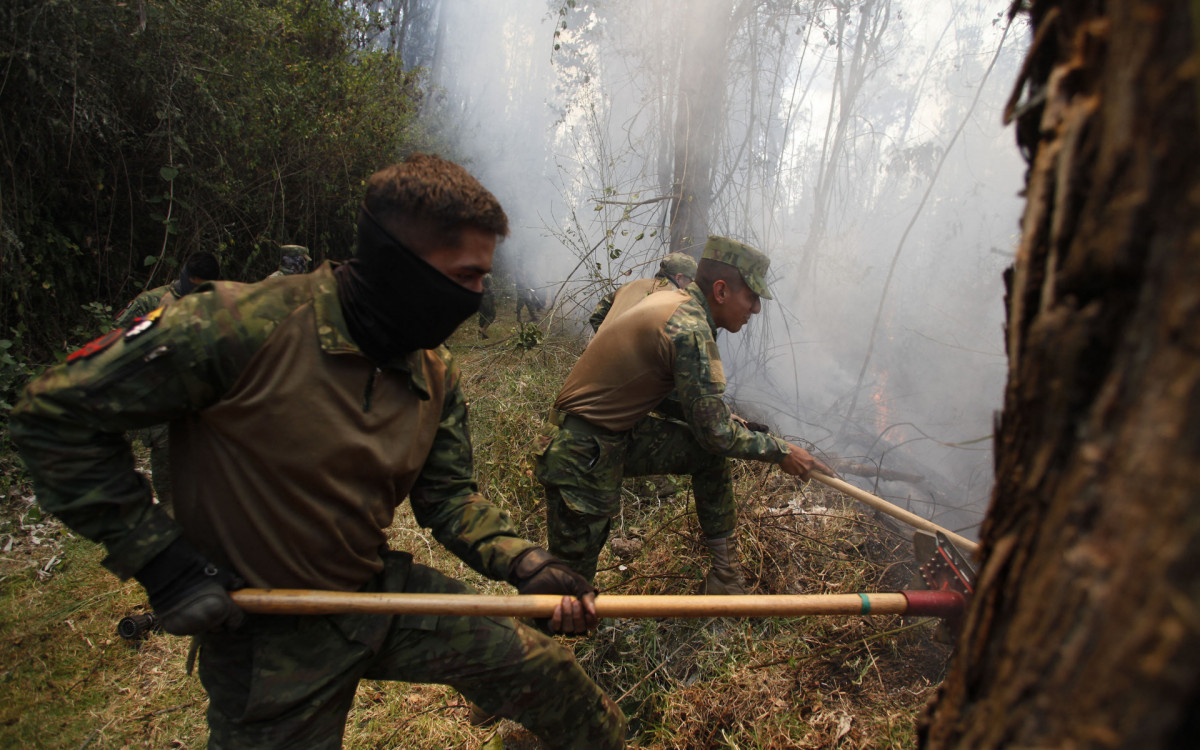 Quito enfrenta incêndios florestais que deixam seis feridos