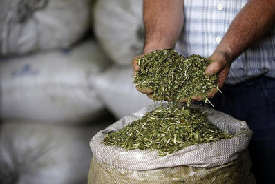 Angola, Coreia do Sul, México, Reino Unido e Rússia abrem mercados para produtos do Brasil