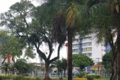 Dia de Cooperar será celebrado neste sábado, envolvendo 13 cooperativas