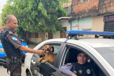 Polícias Civil e Militar executam três prisões da pesada