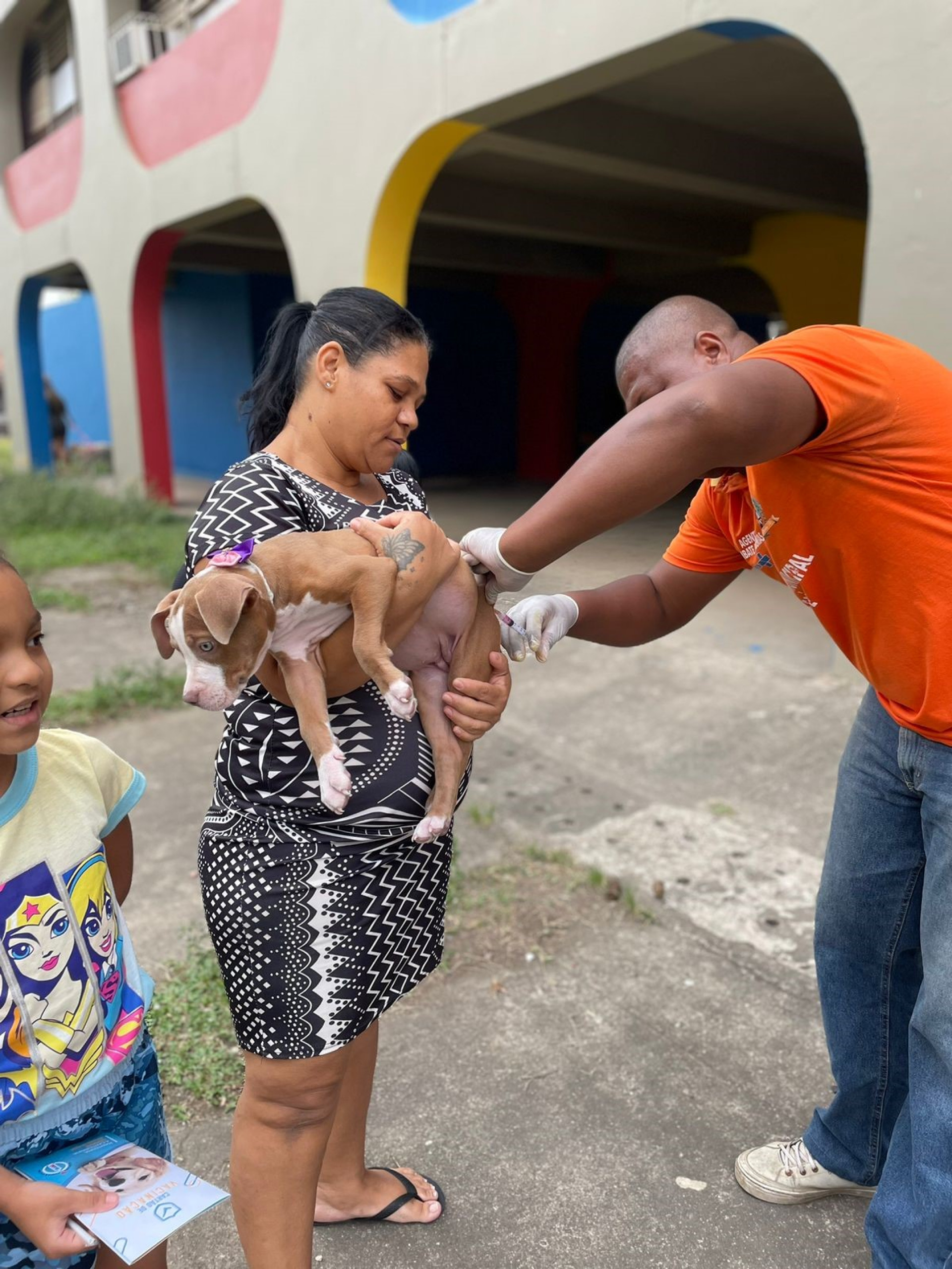 A primeira fase da raiva no animal dura de um a quatro dias. A vacina protege contra a doença - Carlos Roberto / Divulgação