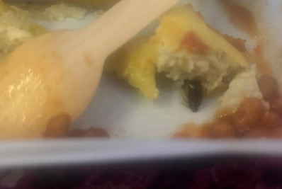 Mulher encontra barata na comida da filha de 2 anos em avião