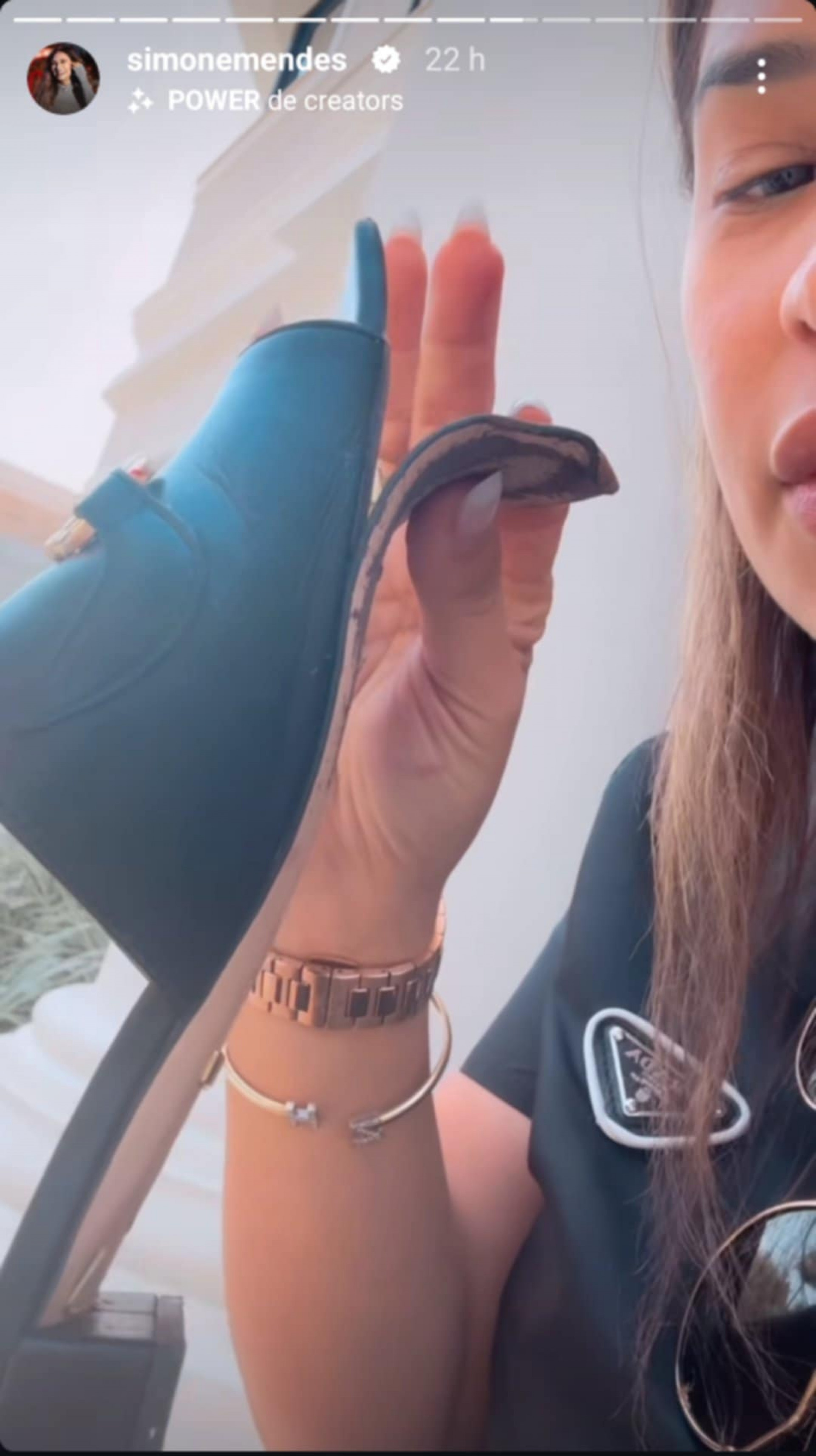 Simone Mendes passa perrengue com peça de grife avaliada em R$ 10 mil - Foto: Reprodução