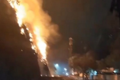 Vídeo: Incêndio de grande proporção atinge área de mata na Zona Oeste