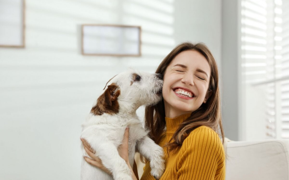 Antes de ter um pet, é necessário entender as responsabilidades de um tutor (Imagem: New África | Shutterstock) 