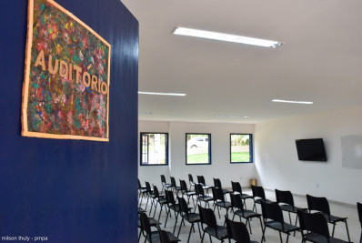 Dança será integrada ao currículo do ensino fundamental