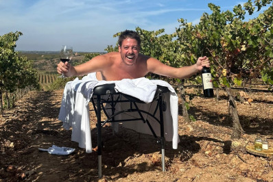 Fabio Porchat diverte famosos ao posar nu em vinícola: 'Dei  zoom'