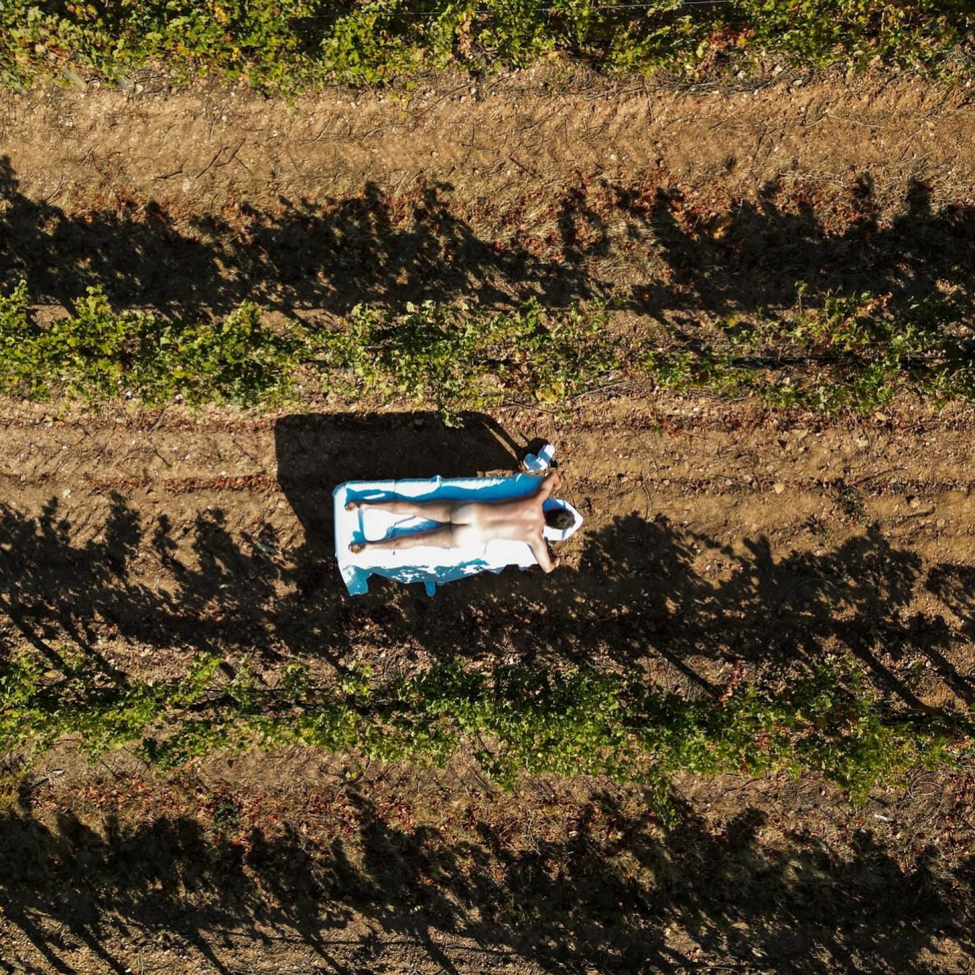 Fabio Porchat posa nu em vinícola - Reprodução / Instagram 