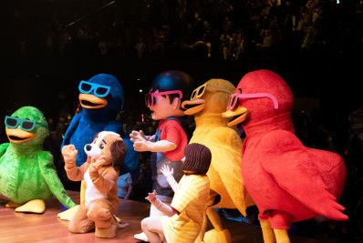 Brincando com o Bento e Totó na Sala Nelson