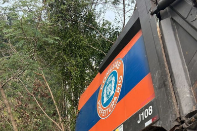 Caminhão despenca em área de mata sobre túnel e causa tumulto em trânsito na Zona Sul