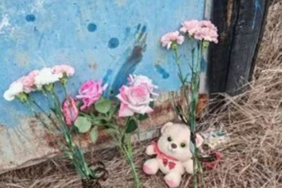 Menina morre após ser atacada por 15 cachorros de rua enquanto voltava da escola