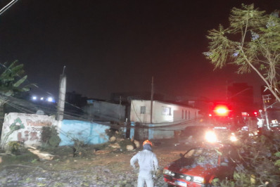 Enel restabeleceu energia a 650 mil clientes em São Paulo; ainda há 1,45 milhão sem luz