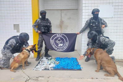 Ação conjunta do BAC e 32º BPM apreende drogas avaliadas em mais de R$ 17 mil em Macaé